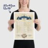 Beaufort Scale poster to describe the strength of the wind and the state of the sea, size 30x40cm, 12x16""