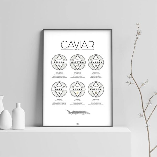 caviar poster, caviar explained, light background