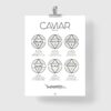 caviar poster, caviar explained