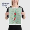 Scoville Hot Peppers Scale Poster size 30x40cm, 12x16"
