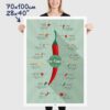 Scoville Hot Peppers Scale Poster size 70x100cm, 28x40"