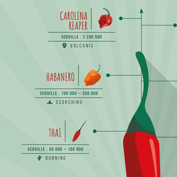 Scoville Hot Peppers Scale Poster zoom