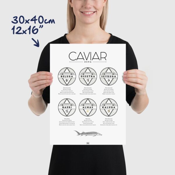 caviar poster, caviar explained, size 30x40cm, 12x16"