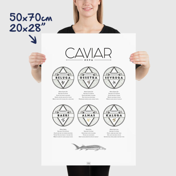 caviar poster, caviar explained, size 50x70cm, 20x28"