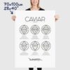 caviar poster, caviar explained, size 70x100cm, 28x40"