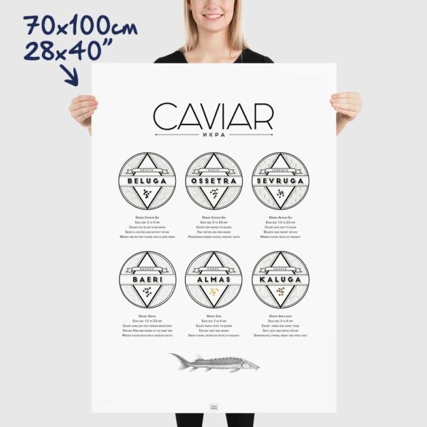 caviar poster, caviar explained, size 70x100cm, 28x40"