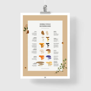 Edible Wild Mushrooms Poster