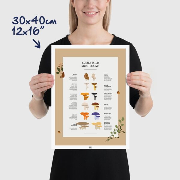 Edible Wild Mushrooms Poster size 30x40cm, 12x16"