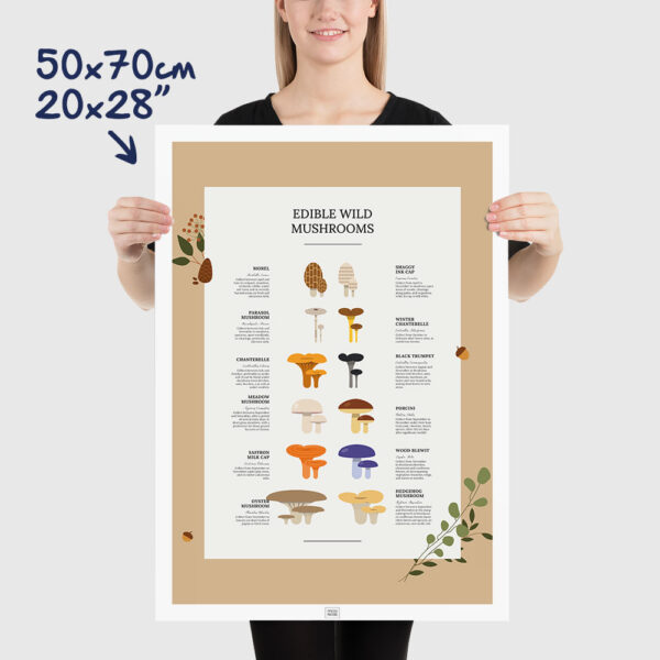 Edible Wild Mushrooms Poster size 50x70cm, 20x28"