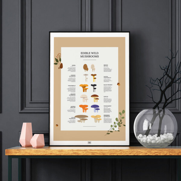 Edible Wild Mushrooms Poster dark background