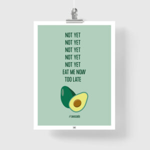 Funny Avocado Poster