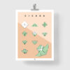 Origami cicada poster