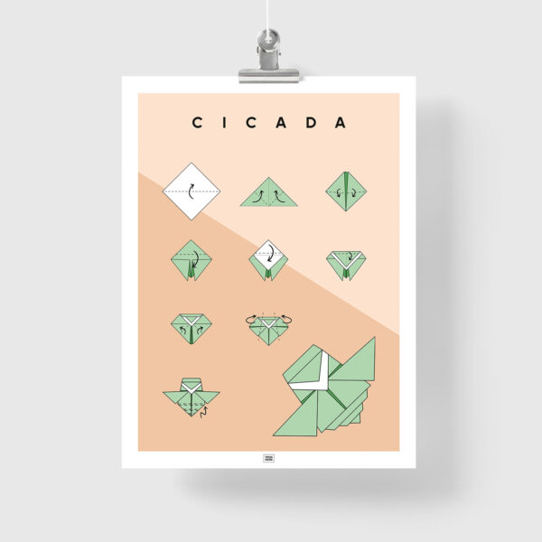 Origami cicada poster