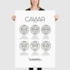 caviar poster, caviar guide poster